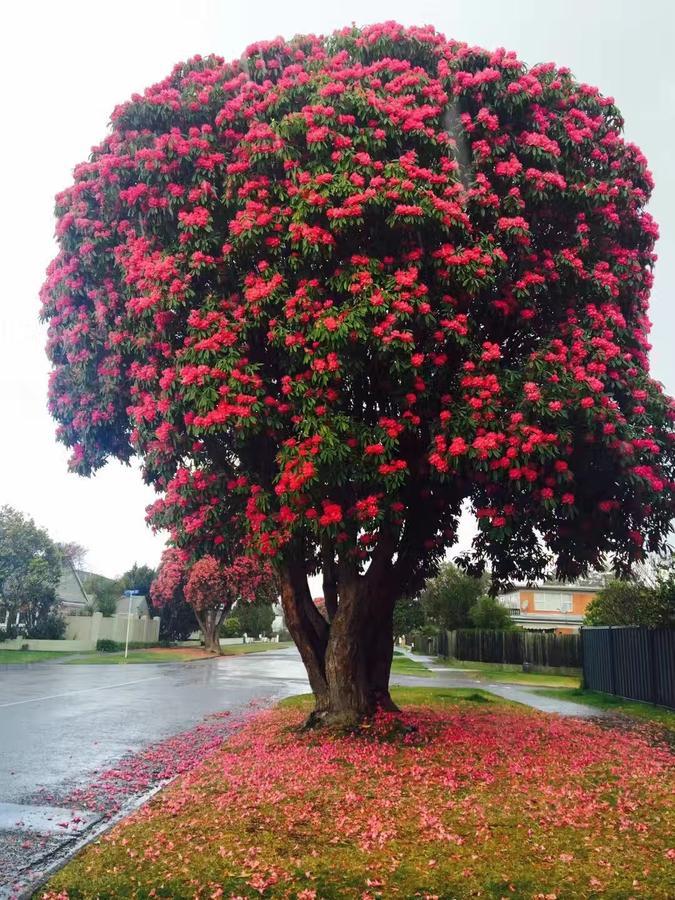 Rotorua City Center Holiday House Экстерьер фото